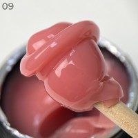 Полигель Art Polygel 15 мл №09